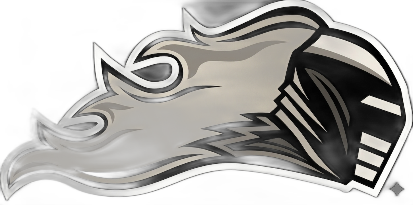 Vienna Knights